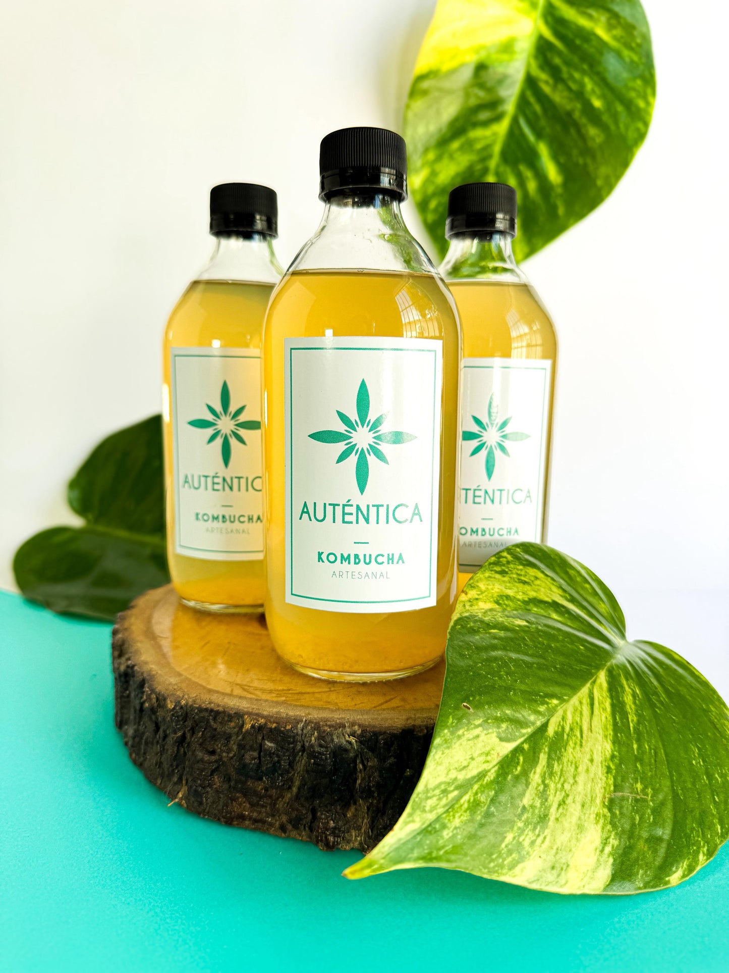 Tripack Kombucha Sabor Natural